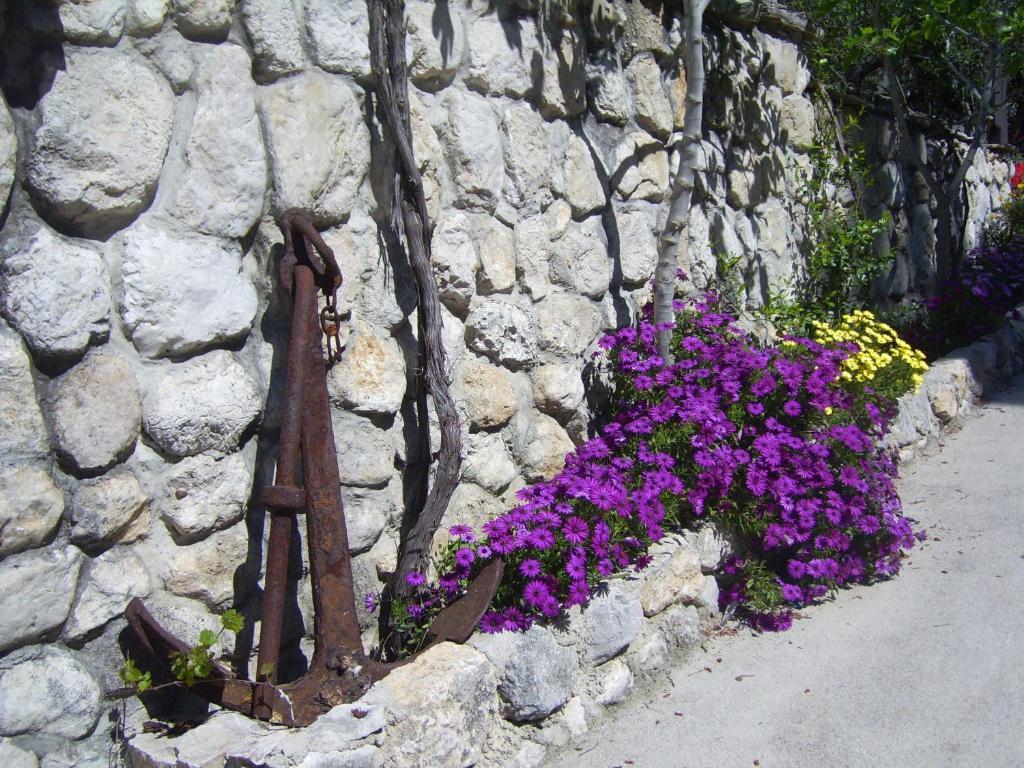 Apartments Villa More Makarska Dış mekan fotoğraf
